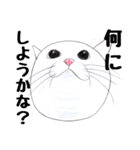 手描き・猫ちゃん（個別スタンプ：29）