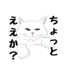 手描き・猫ちゃん（個別スタンプ：30）