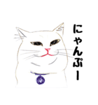手描き・猫ちゃん（個別スタンプ：33）