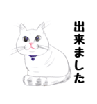 手描き・猫ちゃん（個別スタンプ：34）