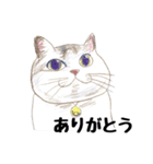 手描き・猫ちゃん（個別スタンプ：35）
