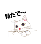 手描き・猫ちゃん（個別スタンプ：36）