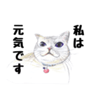 手描き・猫ちゃん（個別スタンプ：38）
