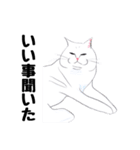 手描き・猫ちゃん（個別スタンプ：39）