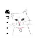 手描き・猫ちゃん（個別スタンプ：40）