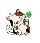 cutecats（個別スタンプ：4）