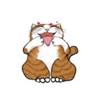cutecats（個別スタンプ：6）