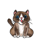 cutecats（個別スタンプ：16）