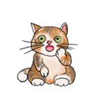 cutecats（個別スタンプ：19）