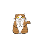 cutecats（個別スタンプ：23）