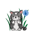 cutecats（個別スタンプ：25）