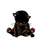 cutecats（個別スタンプ：31）
