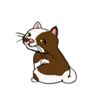 cutecats（個別スタンプ：34）