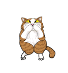 cutecats（個別スタンプ：37）