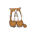 cutecats（個別スタンプ：38）
