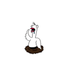 TwoTwo bird（個別スタンプ：5）