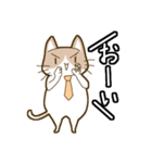 ねこのもきちくん（個別スタンプ：2）