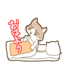 ねこのもきちくん（個別スタンプ：20）