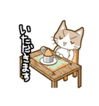 ねこのもきちくん（個別スタンプ：27）