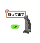 猫の掲示板 rev2（個別スタンプ：5）