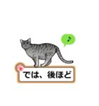 猫の掲示板 rev2（個別スタンプ：16）