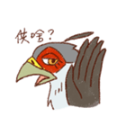 GALA the Secretary bird（個別スタンプ：10）