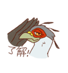 GALA the Secretary bird（個別スタンプ：31）