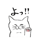 全国の猫好きさんへ（個別スタンプ：1）