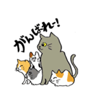 全国の猫好きさんへ（個別スタンプ：5）
