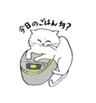 全国の猫好きさんへ（個別スタンプ：11）