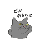 全国の猫好きさんへ（個別スタンプ：14）