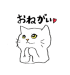 全国の猫好きさんへ（個別スタンプ：21）
