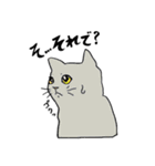 全国の猫好きさんへ（個別スタンプ：23）