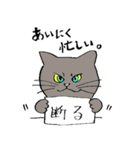 全国の猫好きさんへ（個別スタンプ：29）