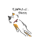 全国の猫好きさんへ（個別スタンプ：31）
