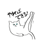 全国の猫好きさんへ（個別スタンプ：33）