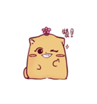 Daily Life of Yeoli and Baekie（個別スタンプ：12）