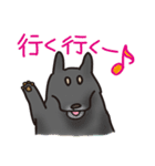 岩犬のクライミングライフ（個別スタンプ：3）