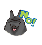岩犬のクライミングライフ（個別スタンプ：7）