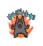 岩犬のクライミングライフ（個別スタンプ：16）