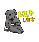 岩犬のクライミングライフ（個別スタンプ：28）