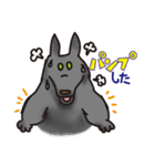 岩犬のクライミングライフ（個別スタンプ：30）