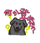岩犬のクライミングライフ（個別スタンプ：34）
