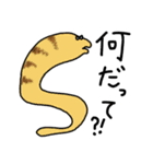 島人用（個別スタンプ：30）