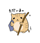 だんごねこトラさん（個別スタンプ：3）