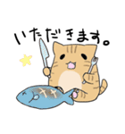 だんごねこトラさん（個別スタンプ：11）
