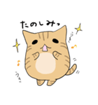 だんごねこトラさん（個別スタンプ：12）