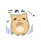 だんごねこトラさん（個別スタンプ：16）
