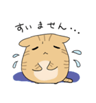 だんごねこトラさん（個別スタンプ：17）