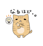 だんごねこトラさん（個別スタンプ：28）